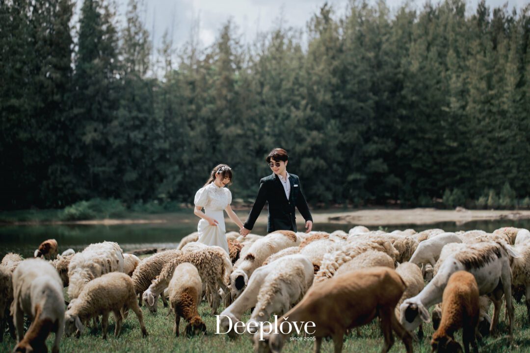Deeplove Wedding Studio | ดีพเลิฟ ชุดเจ้าสาวมินิมอล, ชุดเจ้าสาว, ชุดเจ้าบ่าว, ชุดไทยแต่งงาน , ชุดไทยเจ้าสาว โดยเฉพาะ